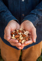 11 Foods that Lower Cholesterol