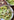 Almond Pesto