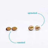 Sprouted vs. Raw vs. Roasted Almonds