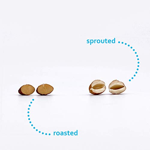 Sprouted vs. Raw vs. Roasted Almonds