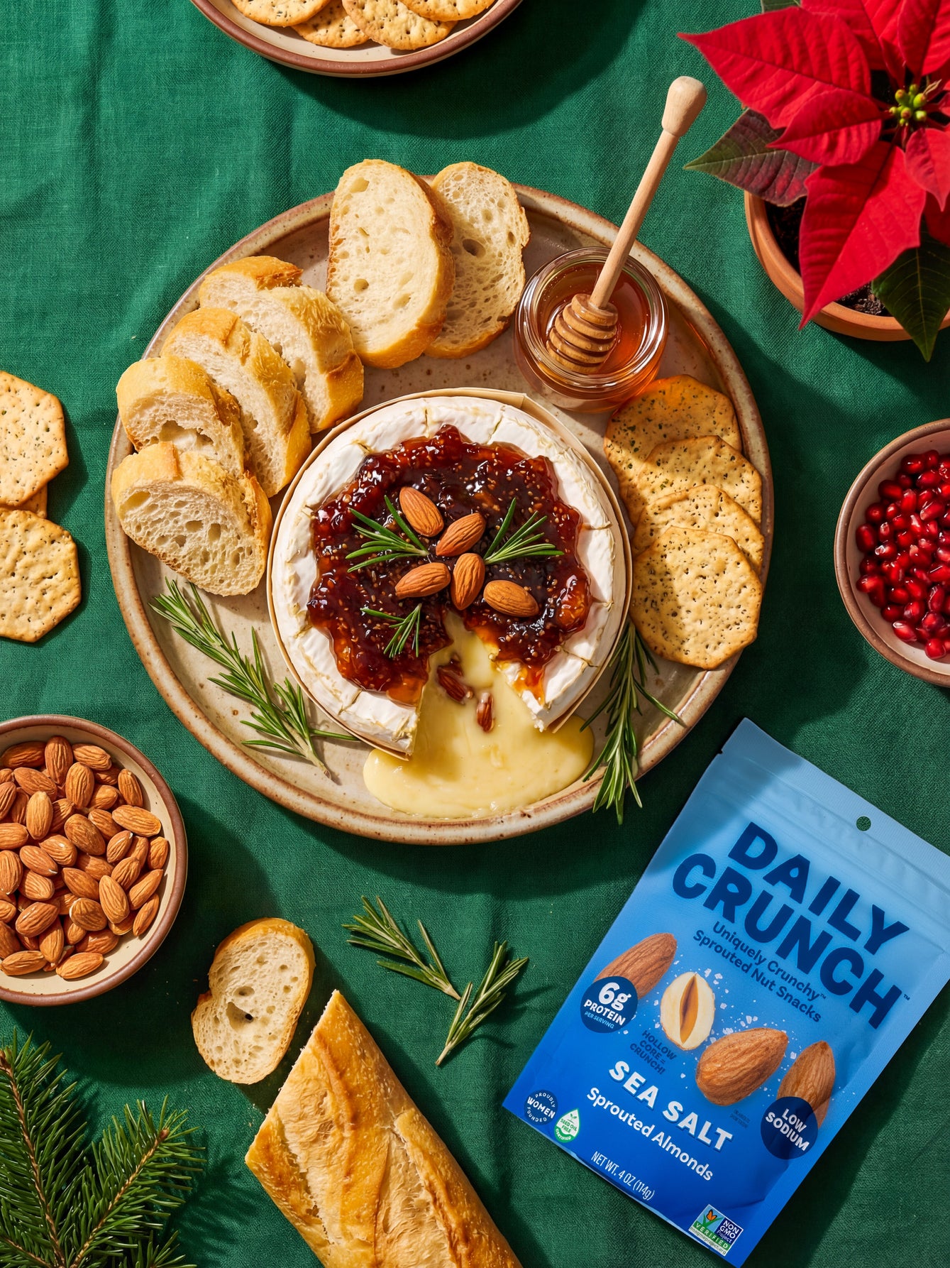 Daily Crunch Sea Salt Sprouted Almonds - Daily Crunch