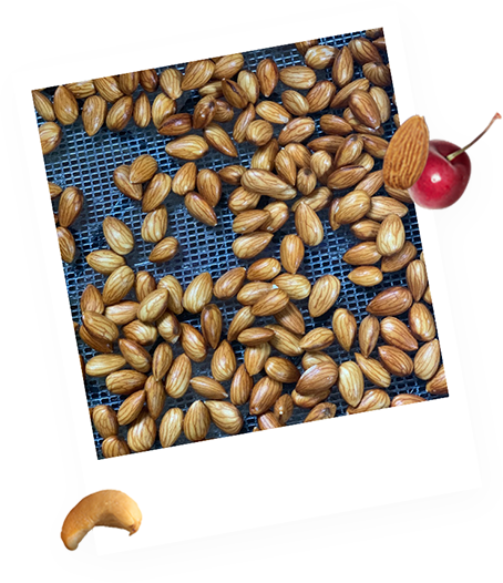 Soaked Almonds